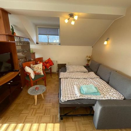 Apartment Kranj - Huge Terrace, Free P, Wi - Fi, Ac Exterior foto